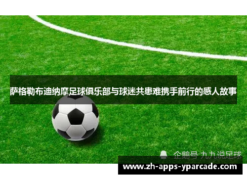 萨格勒布迪纳摩足球俱乐部与球迷共患难携手前行的感人故事