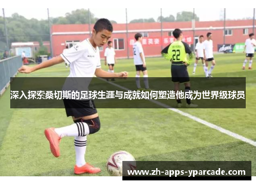 深入探索桑切斯的足球生涯与成就如何塑造他成为世界级球员