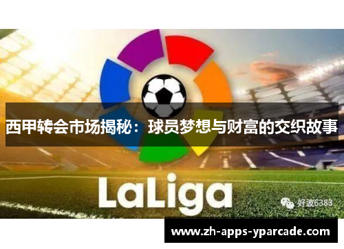 西甲转会市场揭秘：球员梦想与财富的交织故事