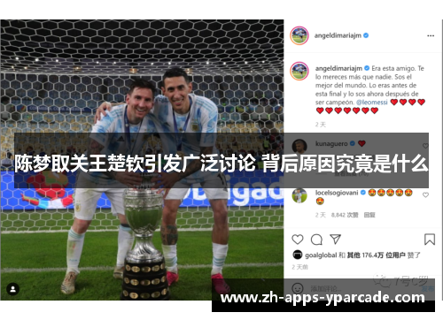 陈梦取关王楚钦引发广泛讨论 背后原因究竟是什么