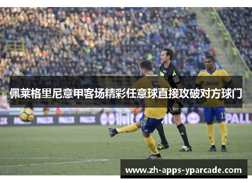 佩莱格里尼意甲客场精彩任意球直接攻破对方球门